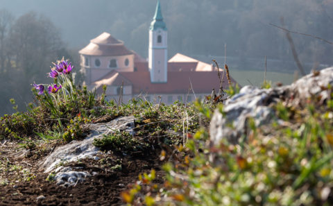 Fotograf Straubing | Schindler | Kloster Weltenburg | Donaudurchbruch