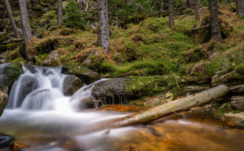 Rißlochwasserfall im Bayerischen Wald | Fotograf Straubing | Bilder auf Acryl, Forex, Leinwand u.v.m