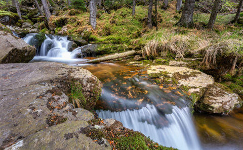 Rißlochwasserfall im Bayerischen Wald | Fotograf Straubing | Bilder auf Acryl, Forex, Leinwand u.v.m