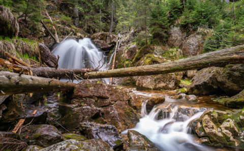 Rißlochwasserfall im Bayerischen Wald | Fotograf Straubing | Bilder auf Acryl, Forex, Leinwand u.v.m