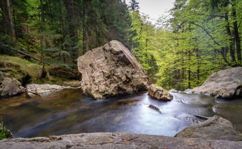 Rißlochwasserfall im Bayerischen Wald | Fotograf Straubing | Bilder auf Acryl, Forex, Leinwand u.v.m