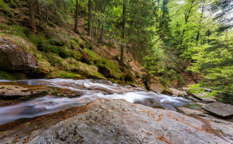 Rißlochwasserfall im Bayerischen Wald | Fotograf Straubing | Bilder auf Acryl, Forex, Leinwand u.v.m