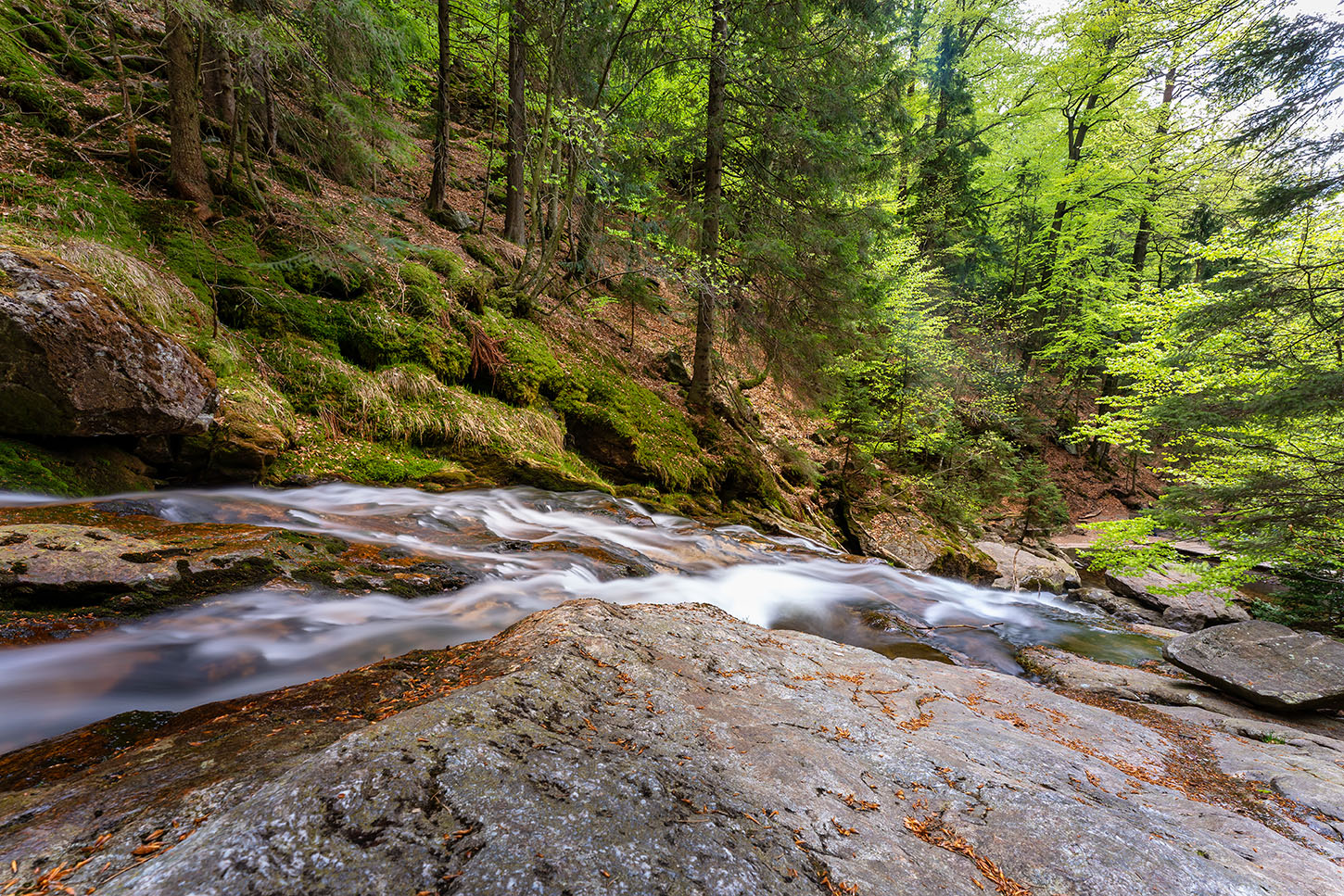 Rißlochwasserfall im Bayerischen Wald | Fotograf Straubing | Bilder auf Acryl, Forex, Leinwand u.v.m
