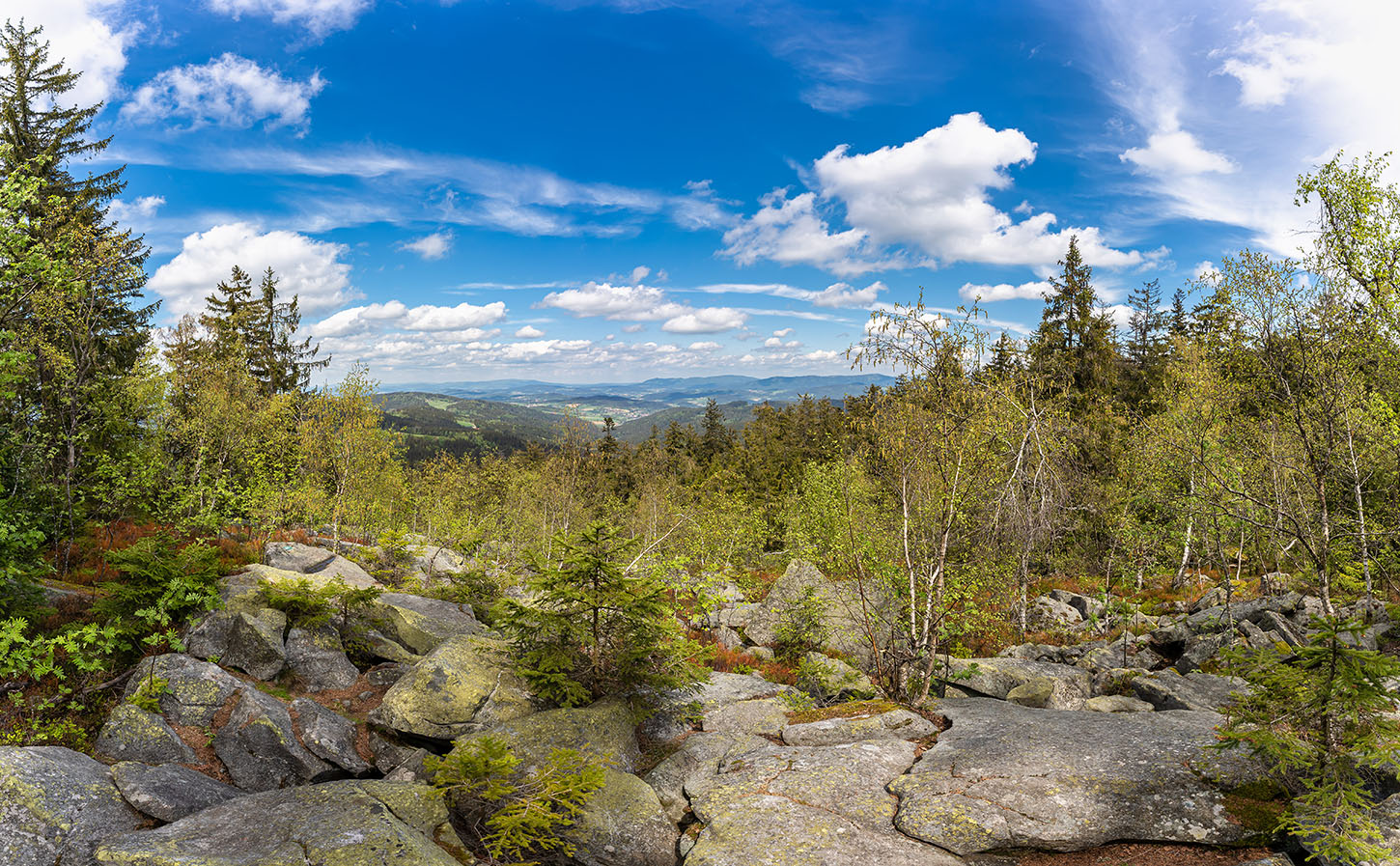 Käsplatte | Bayerischer Wald | Fotos | Fotograf Straubing