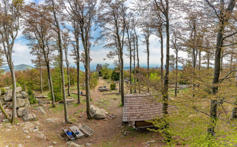Fotografieren am Hirschenstein im Bayerischen Wald | Fotostyle Schindler | Landschaftsfotos