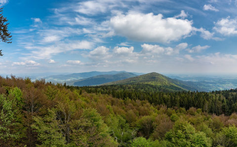 Fotografieren am Hirschenstein im Bayerischen Wald | Fotostyle Schindler | Landschaftsfotos