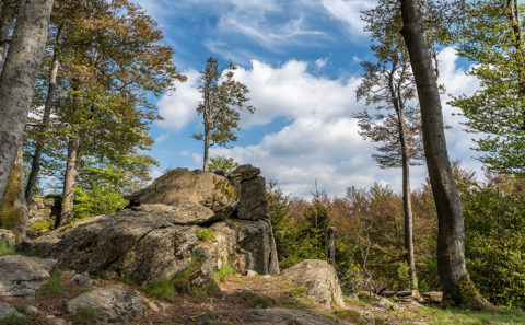 Fotografieren am Hirschenstein im Bayerischen Wald | Fotostyle Schindler | Landschaftsfotos