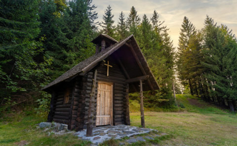 Fotograf Straubing | Wandern auf den Hohen Bogen im Bayerischen Wald