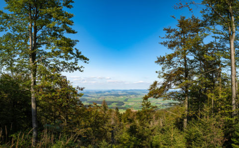 Fotograf Straubing | Wandern auf den Hohen Bogen im Bayerischen Wald