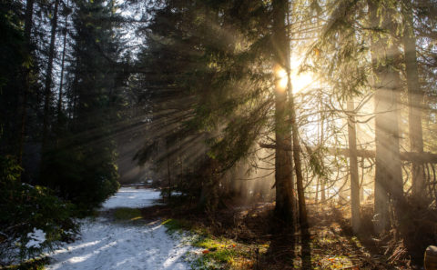 Landschaftsfotos | Bayerischer Wald Rachel | Fotostyle Schindler