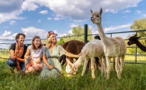 Terra Alpaca Wanderung Aholfing Fotograf Straubing