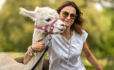 Terra Alpaca Wanderung Aholfing Fotograf Straubing